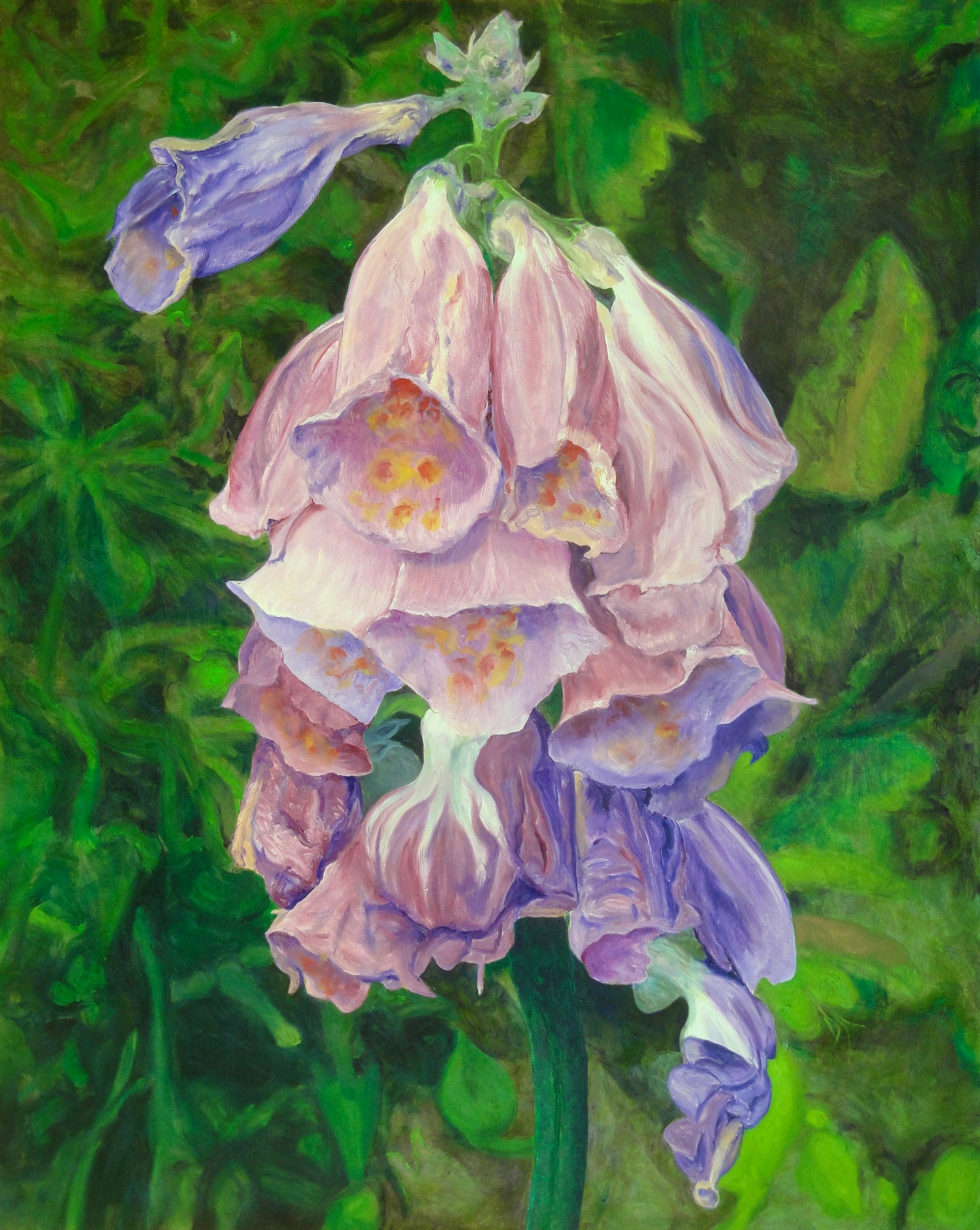 Donald Shambroom's painting from the Collection called Blossom depicting a Foxglove