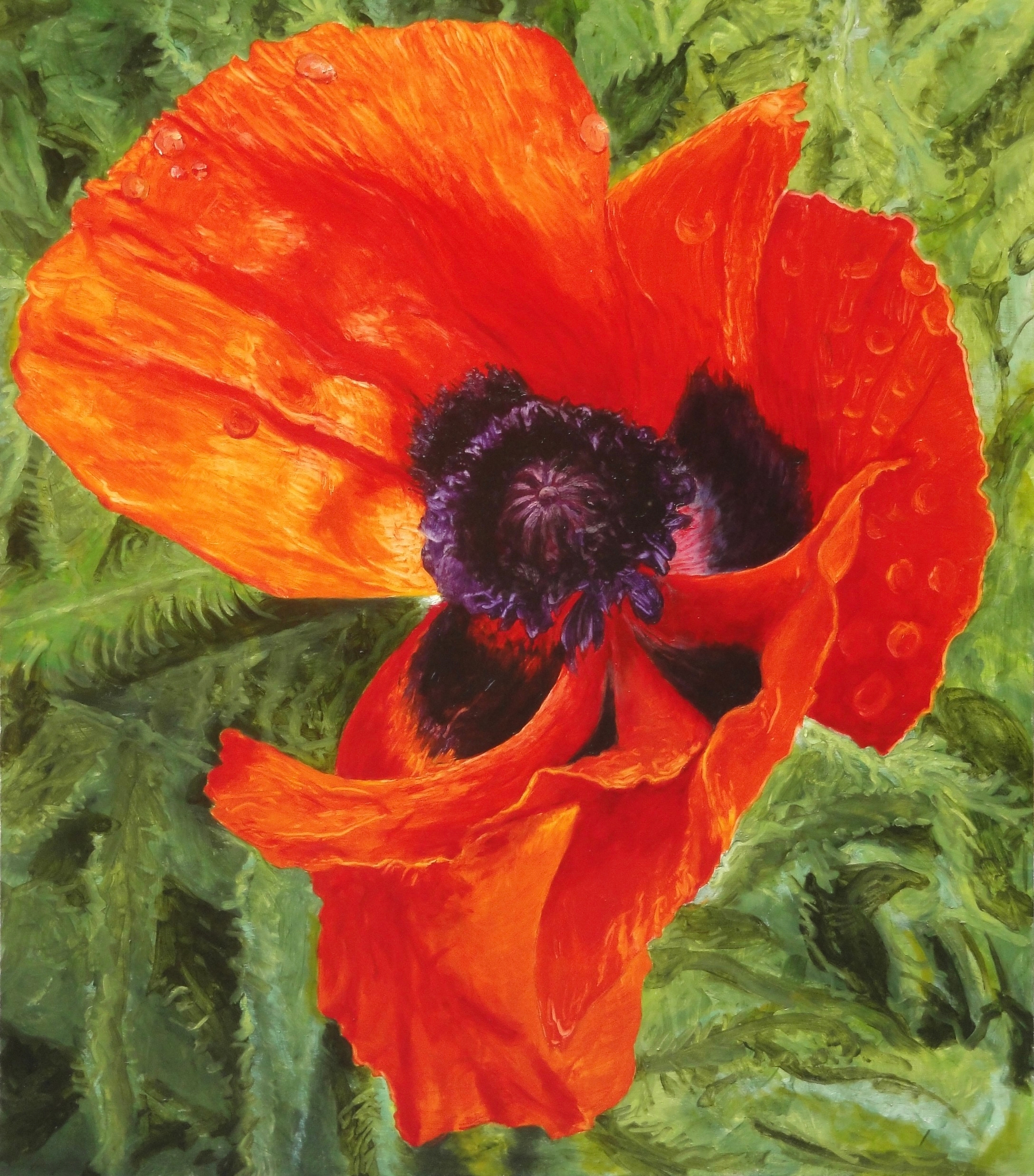 Donald Shambroom's painting from the Collection called Blossom depicting a Poppy