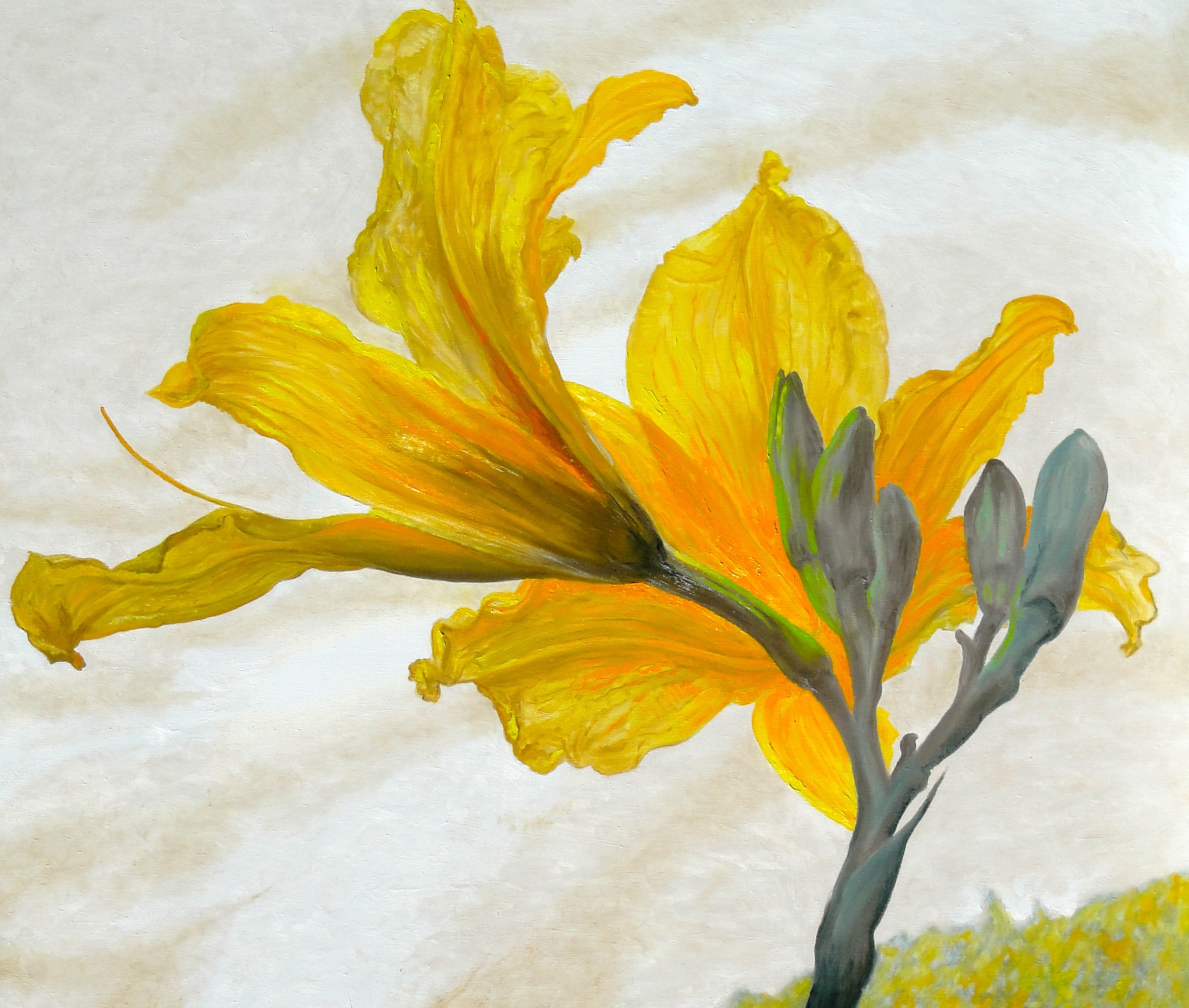 Donald Shambroom's painting from the Collection called Blossom depicting a Daylily