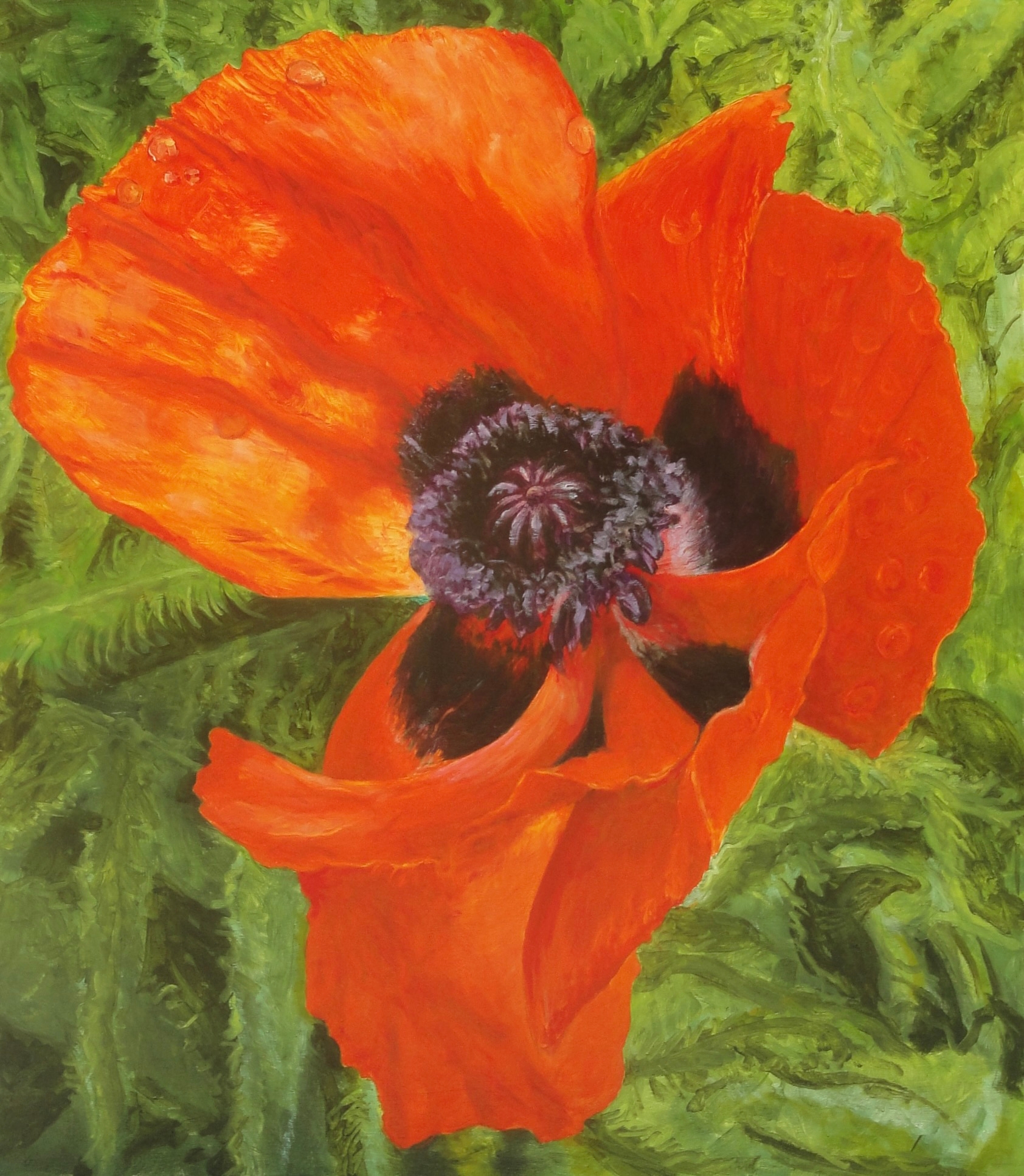 Donald Shambroom's painting from the Collection called Blossom depicting a Poppy