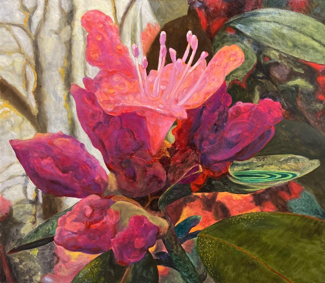 Donald Shambroom's painting from the Collection called Blossom depicting a Daylily
