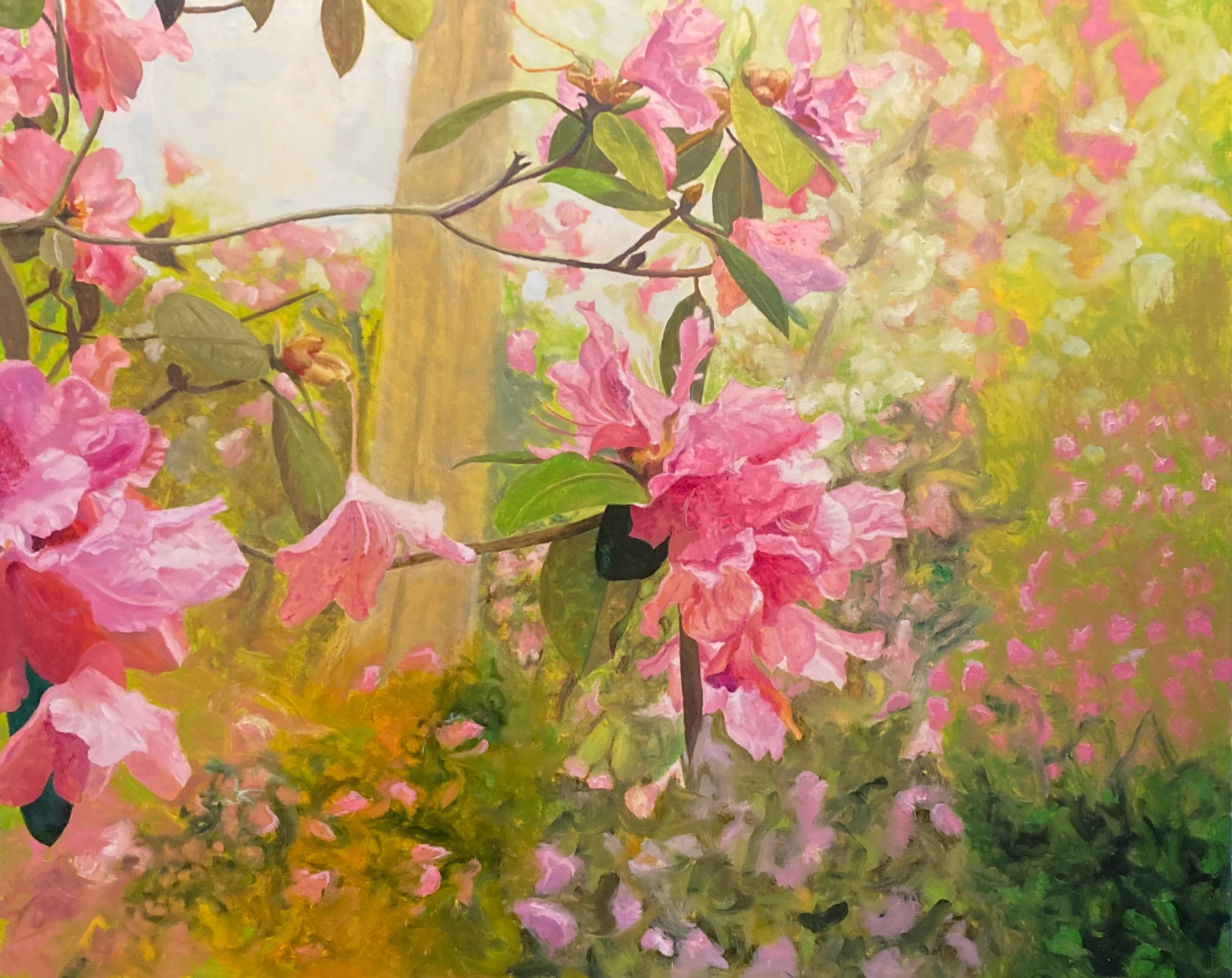 Donald Shambroom's painting from the Collection called Blossom depicting a Azalea