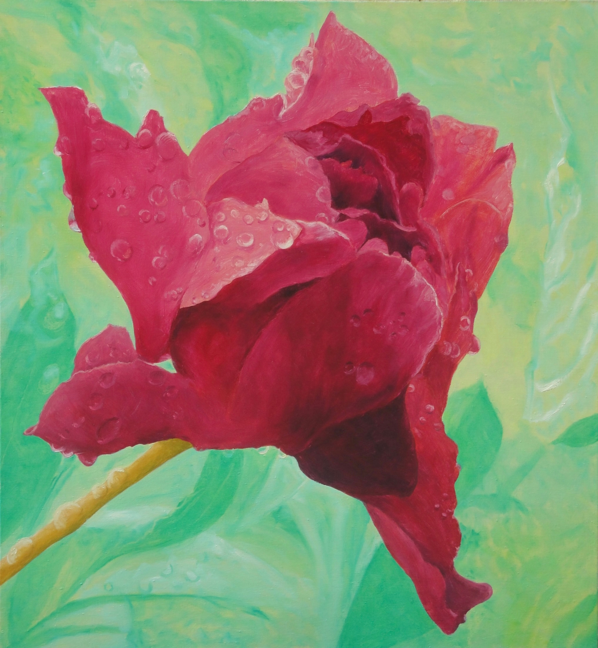 Donald Shambroom's painting from the Collection called Blossom depicting a Peony